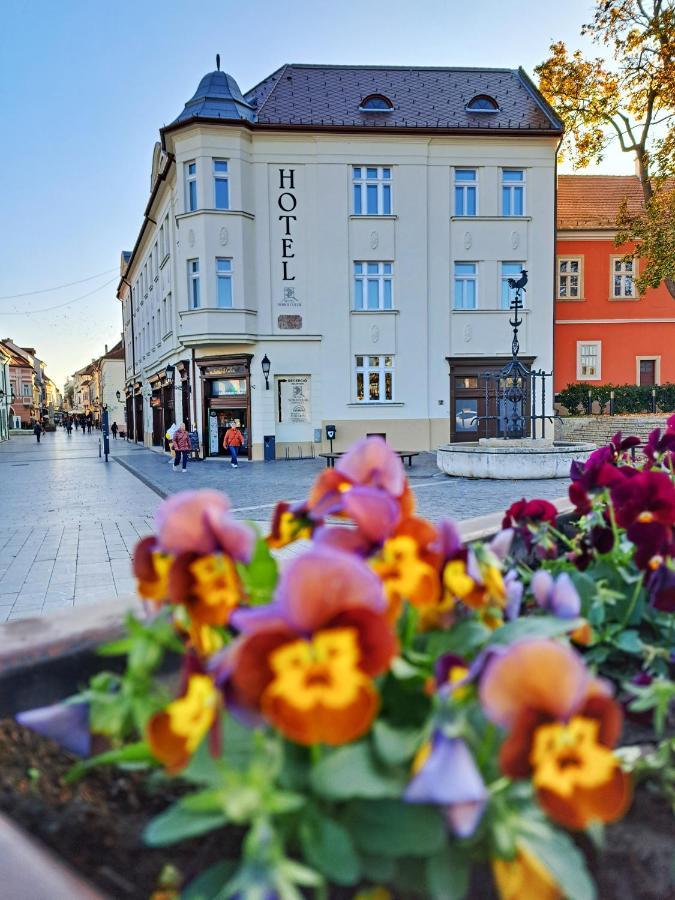 Hotel Domus Collis Győr Eksteriør billede